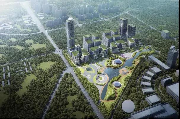 坪山生物医药产业加速器园区项目（一标段）工程总承包(EPC)定标会顺利召开01